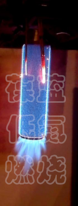 葆藍(lán)全預(yù)混低氮銅管鍋爐燃燒頭自除塵